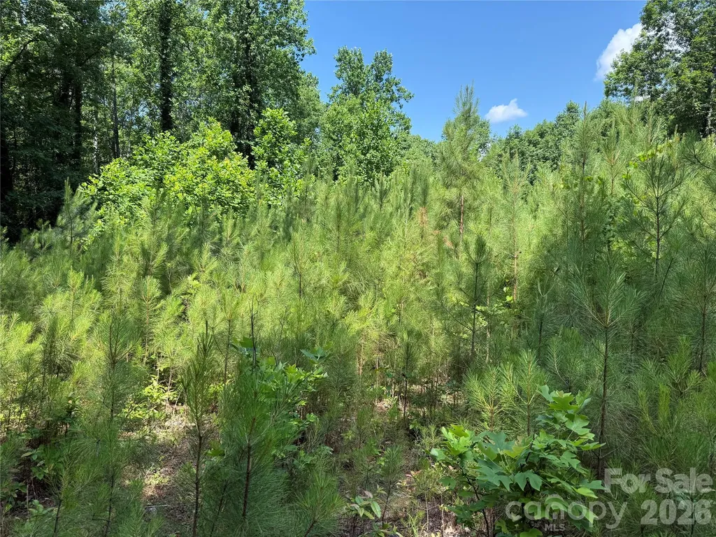 206 Corry Lane Bostic NC 28018