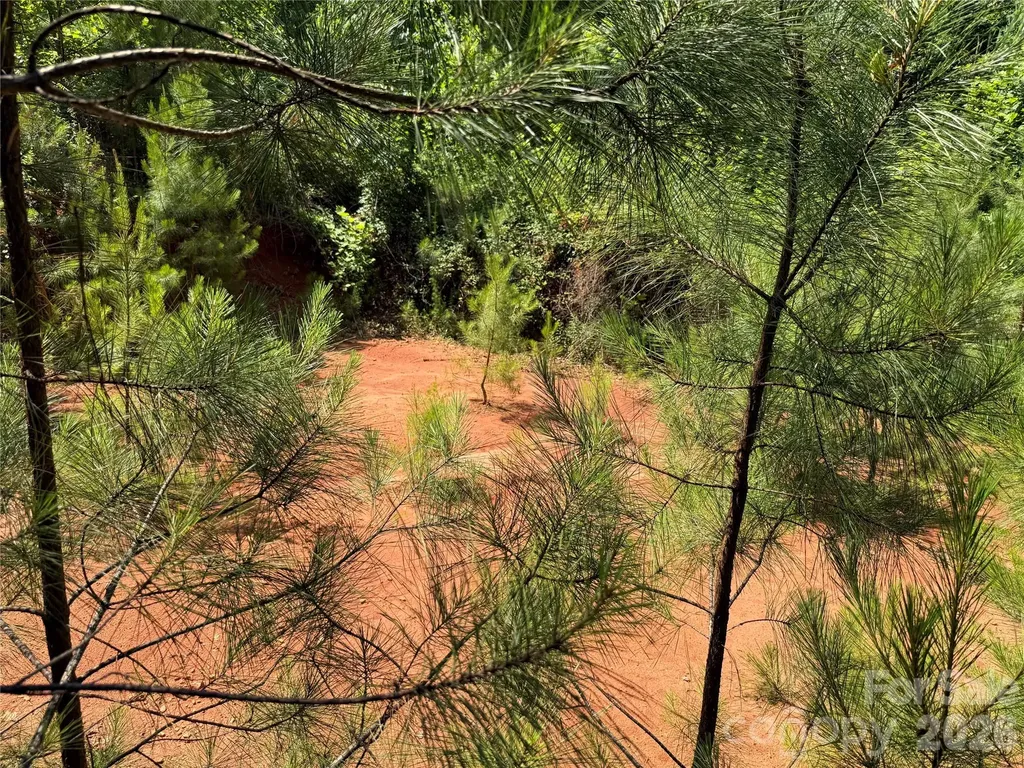 206 Corry Lane Bostic NC 28018