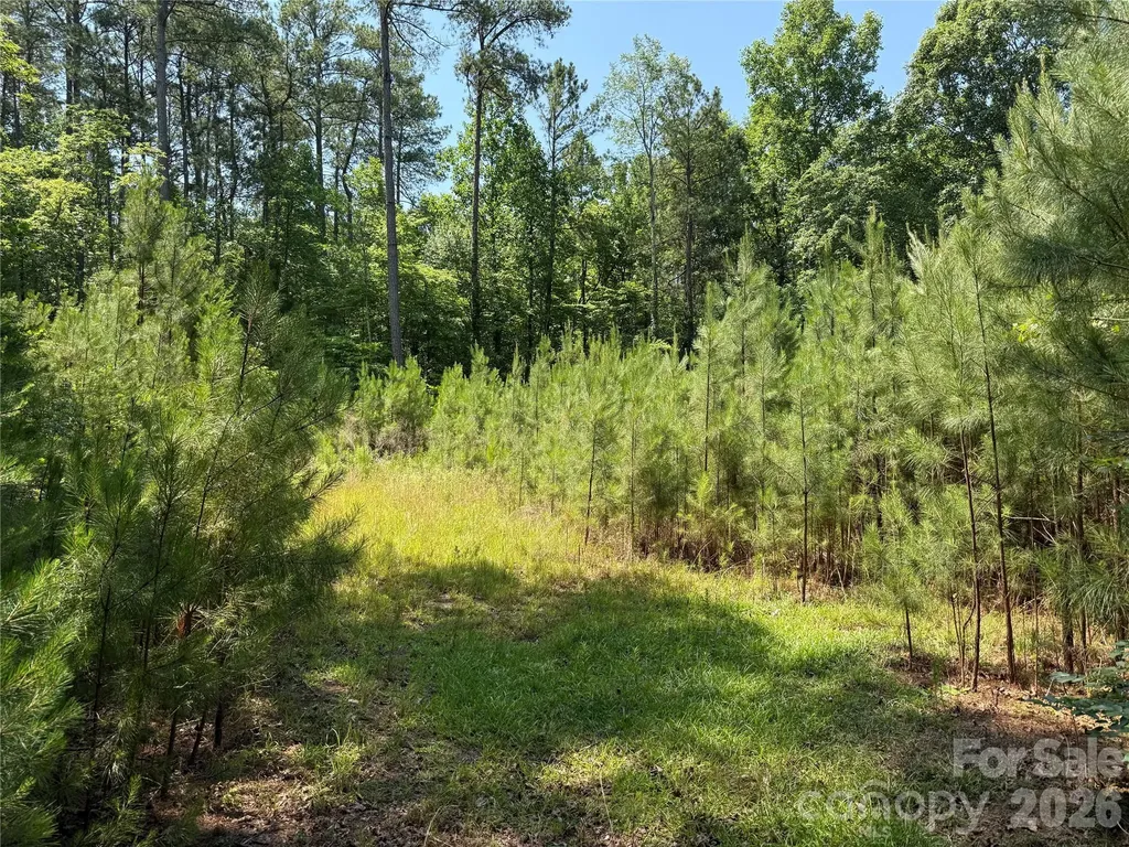 206 Corry Lane Bostic NC 28018