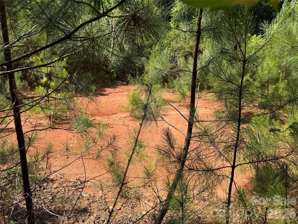 206 Corry Lane Bostic NC 28018