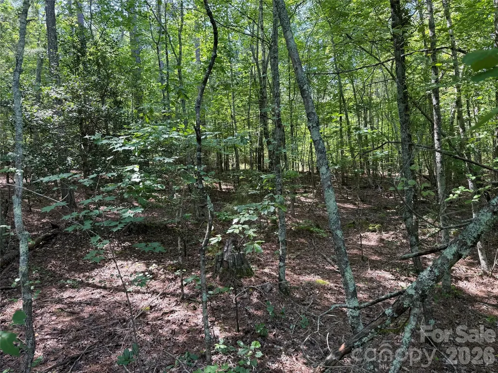 206 Corry Lane Bostic NC 28018