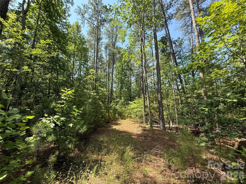 206 Corry Lane Bostic NC 28018