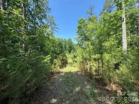206 Corry Lane Bostic NC 28018