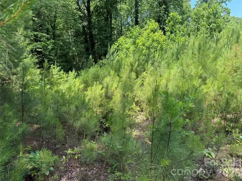 206 Corry Lane Bostic NC 28018
