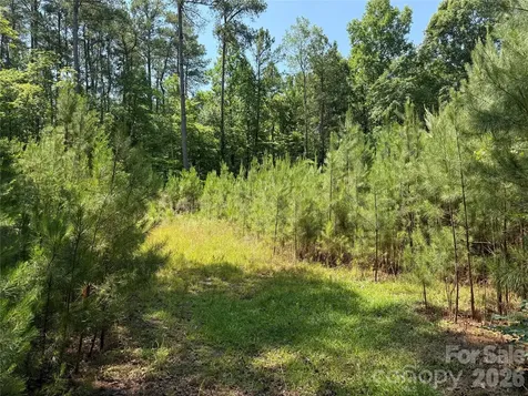 206 Corry Lane Bostic NC 28018