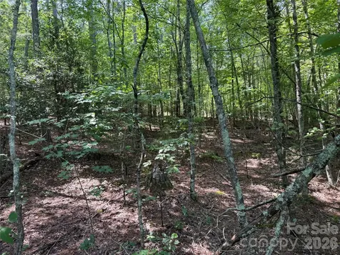 206 Corry Lane Bostic NC 28018