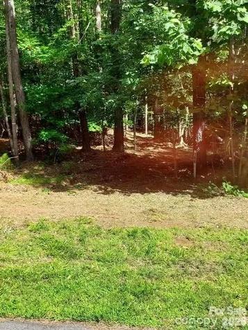 218 Table Rock Trace NW Morganton NC 28655