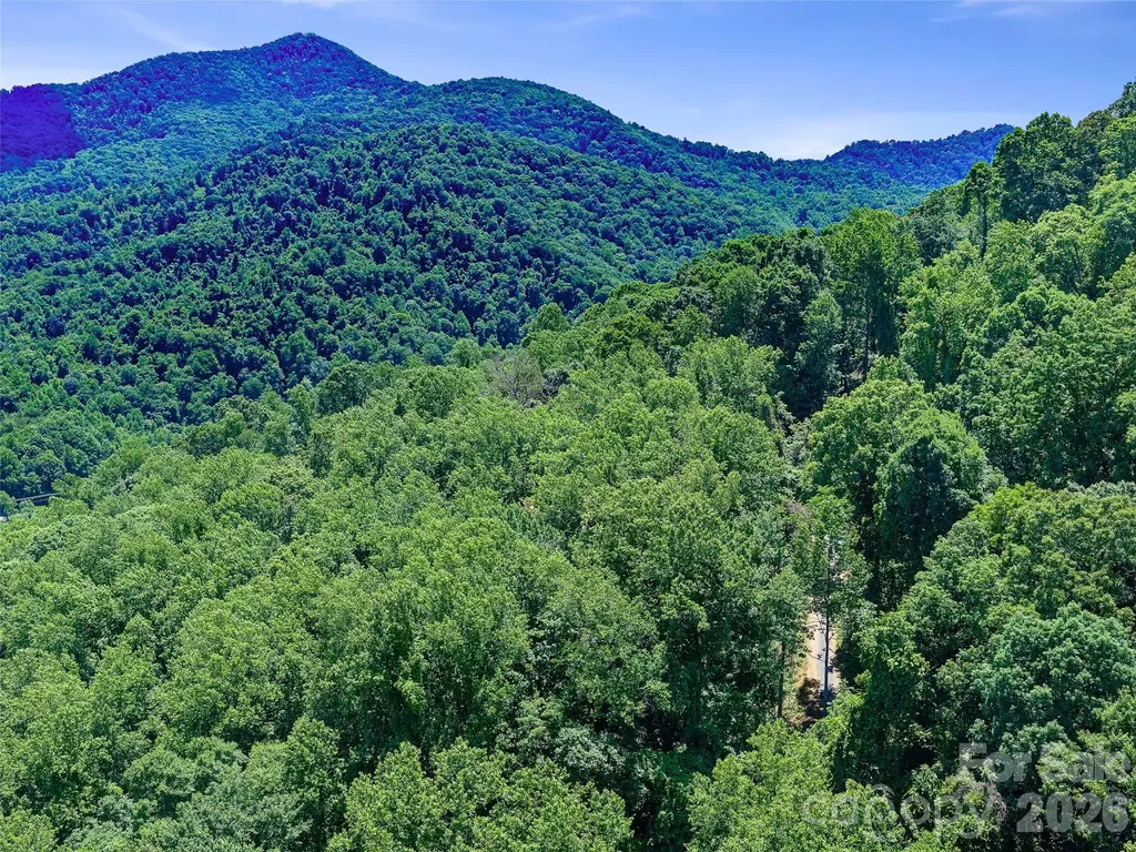 9999 Lovebird Lane Candler NC 28715