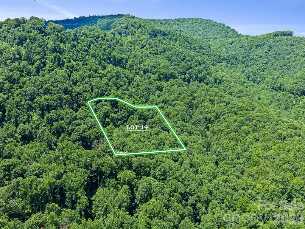9999 Lovebird Lane Candler NC 28715