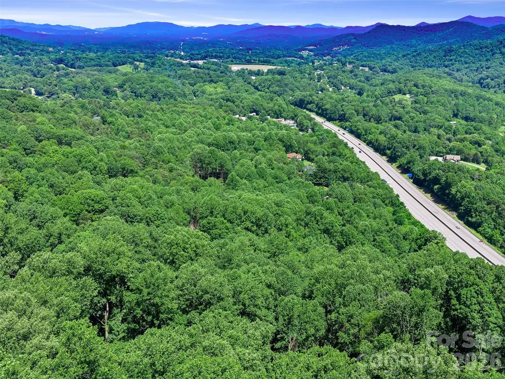 9999 Lovebird Lane Candler NC 28715