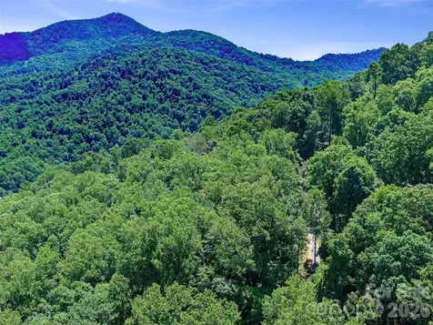 9999 Lovebird Lane Candler NC 28715