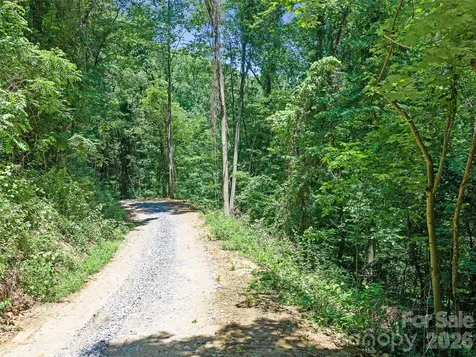 9999 Lovebird Lane Candler NC 28715
