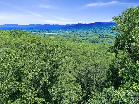 9999 Lovebird Lane Candler NC 28715