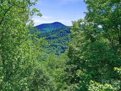 9999 Lovebird Lane Candler NC 28715