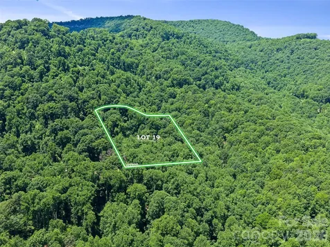 9999 Lovebird Lane Candler NC 28715