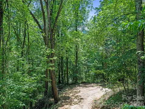 9999 Lovebird Lane Candler NC 28715