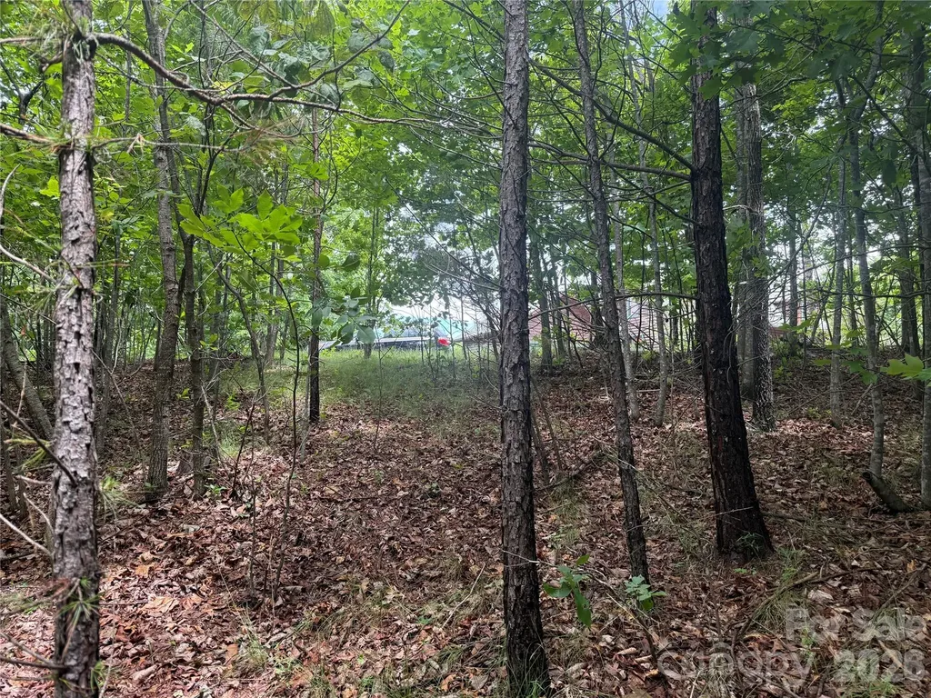 V/l Scenic Vista Drive Nebo NC 28761