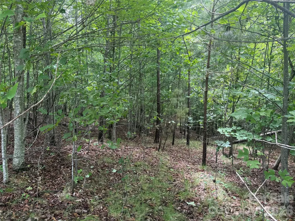 V/l Scenic Vista Drive Nebo NC 28761