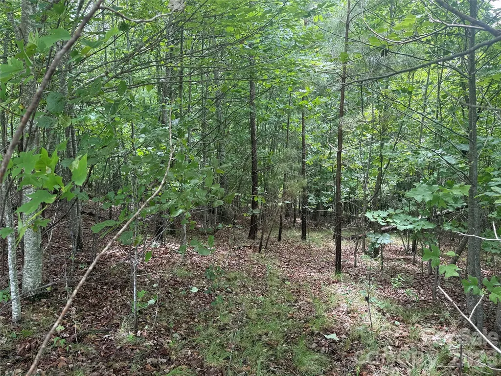 V/l Scenic Vista Drive Nebo NC 28761