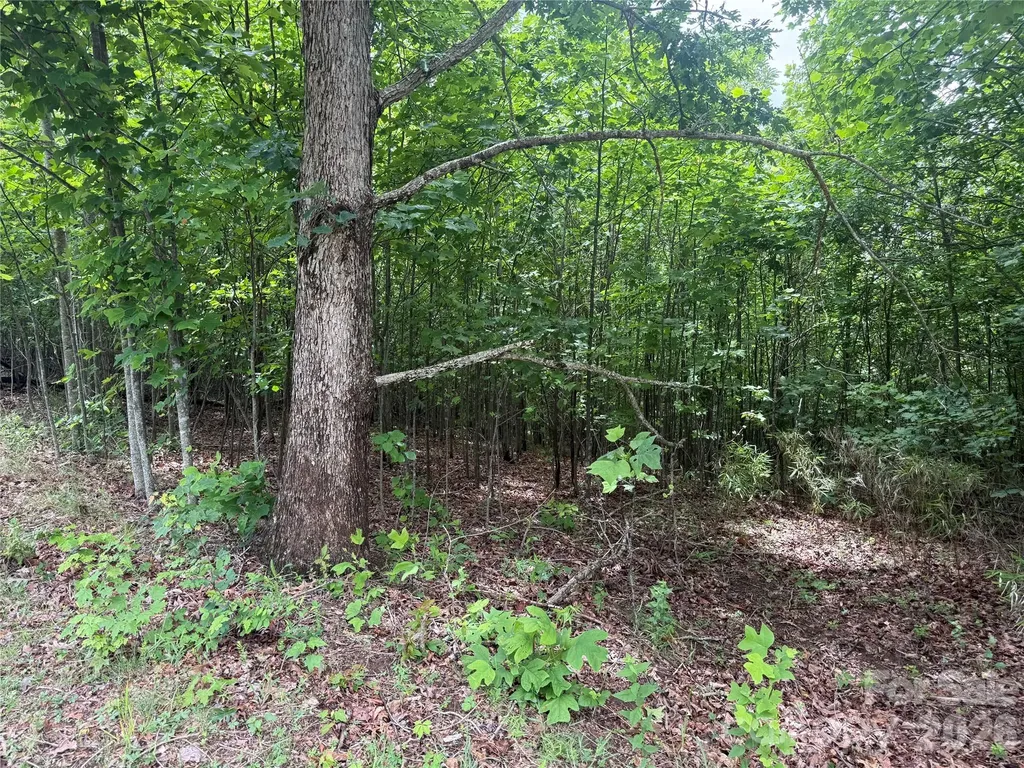 V/l Scenic Vista Drive Nebo NC 28761