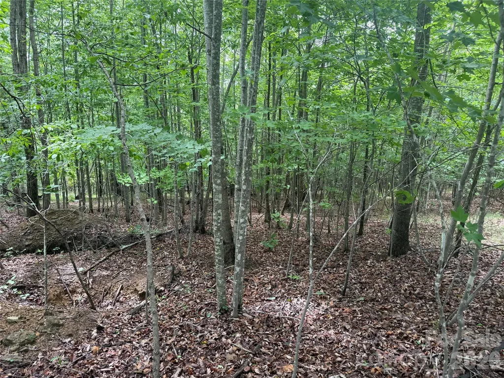 V/l Scenic Vista Drive Nebo NC 28761