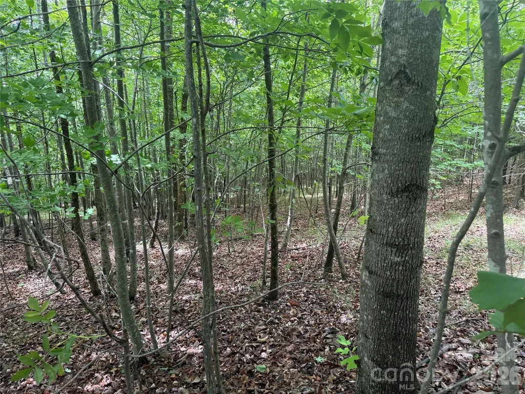 V/l Scenic Vista Drive Nebo NC 28761