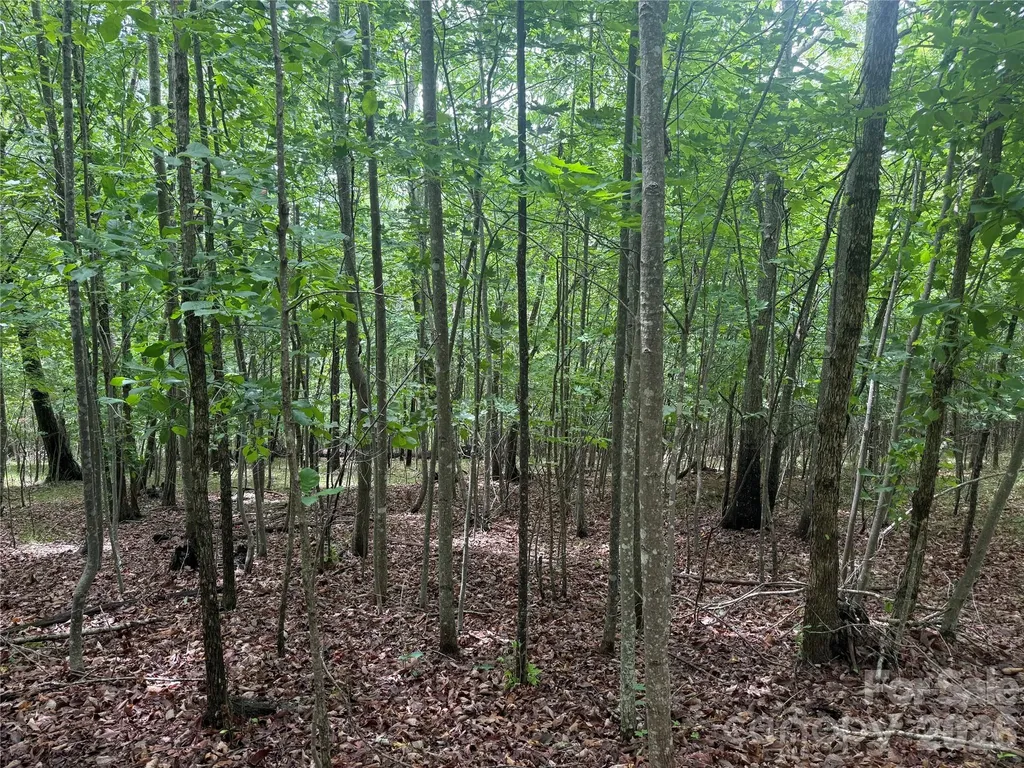 V/l Scenic Vista Drive Nebo NC 28761
