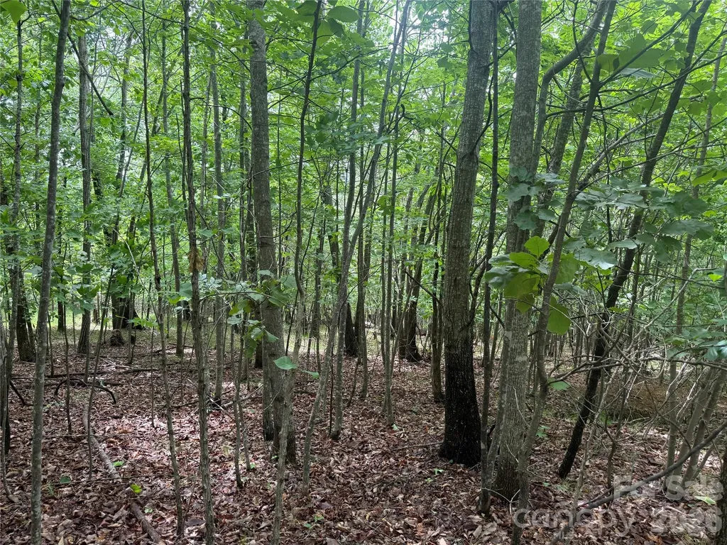 V/l Scenic Vista Drive Nebo NC 28761
