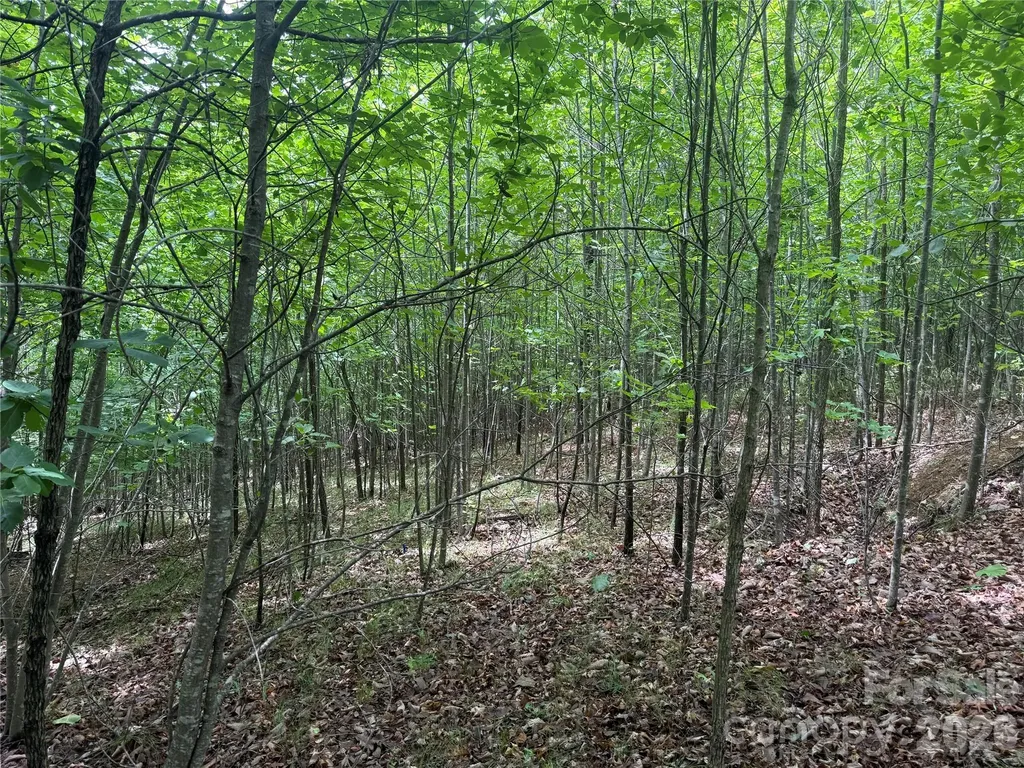 V/l Scenic Vista Drive Nebo NC 28761