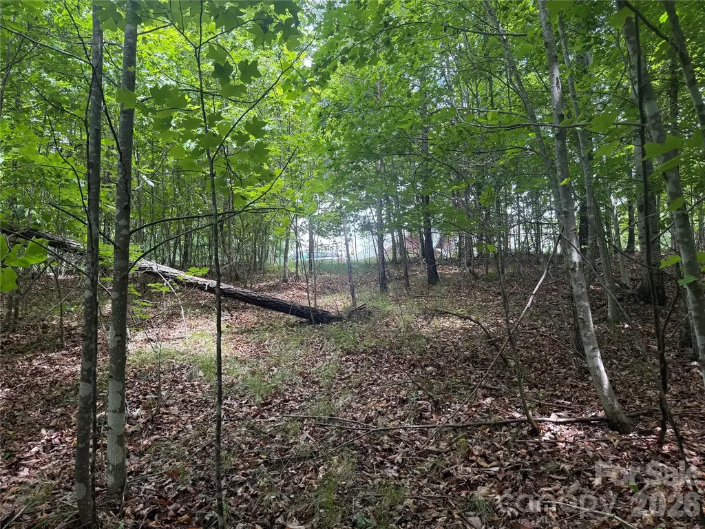 V/l Scenic Vista Drive Nebo NC 28761