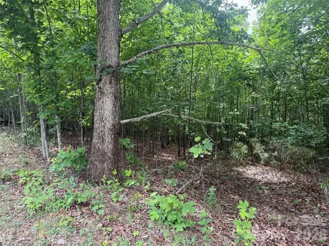 V/l Scenic Vista Drive Nebo NC 28761
