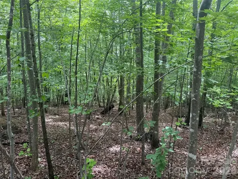 V/l Scenic Vista Drive Nebo NC 28761