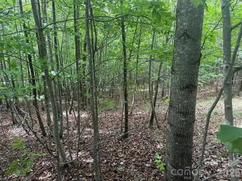 V/l Scenic Vista Drive Nebo NC 28761
