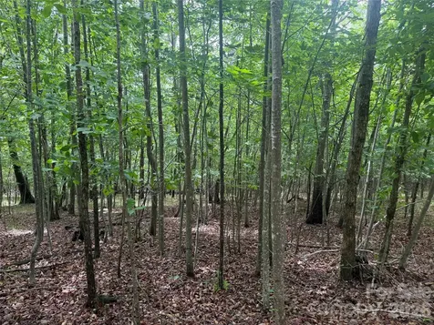 V/l Scenic Vista Drive Nebo NC 28761