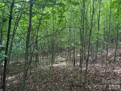 V/l Scenic Vista Drive Nebo NC 28761