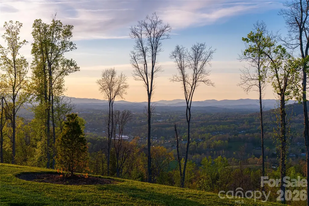 170 + 99999 Bear View Road Weaverville NC 28787