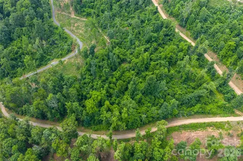 170 + 99999 Bear View Road Weaverville NC 28787