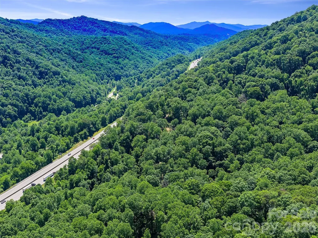 9999 Lovebird Lane Candler NC 28715