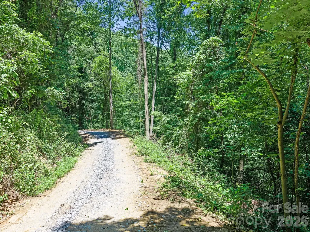 9999 Lovebird Lane Candler NC 28715