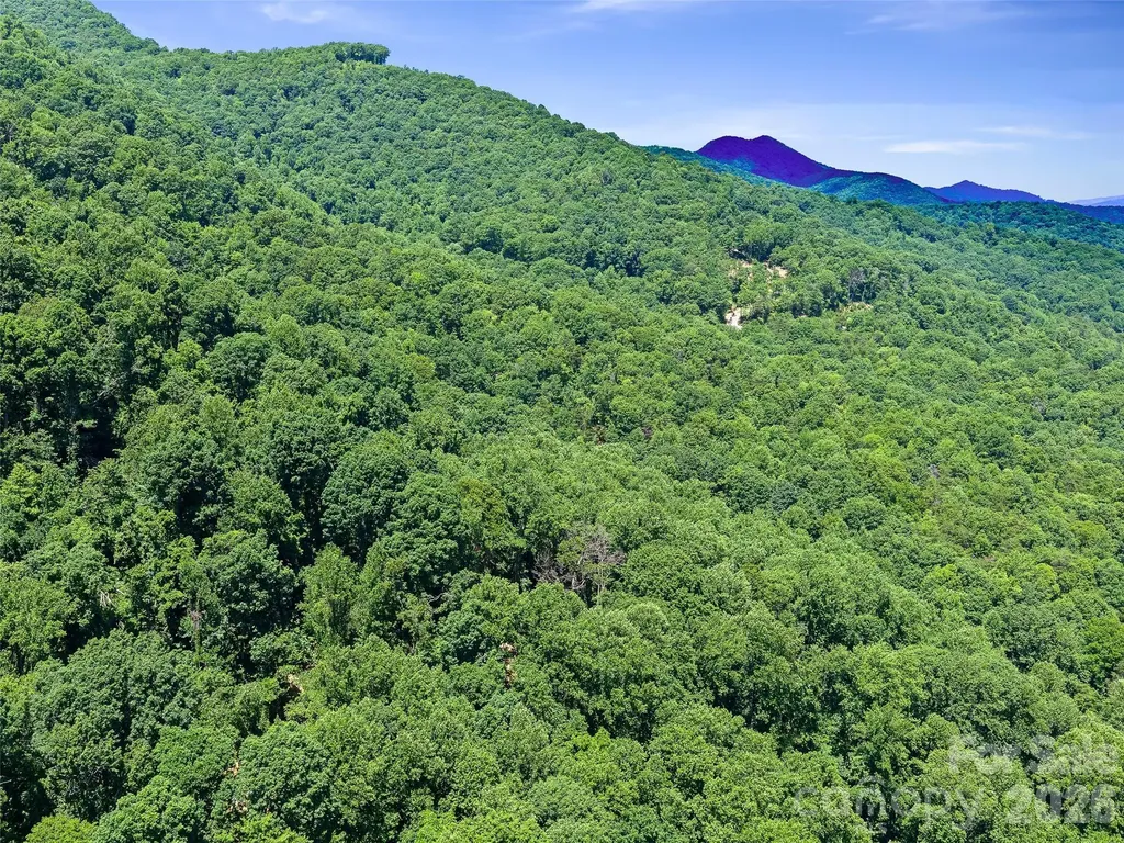 9999 Lovebird Lane Candler NC 28715