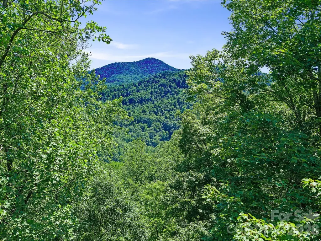 9999 Lovebird Lane Candler NC 28715