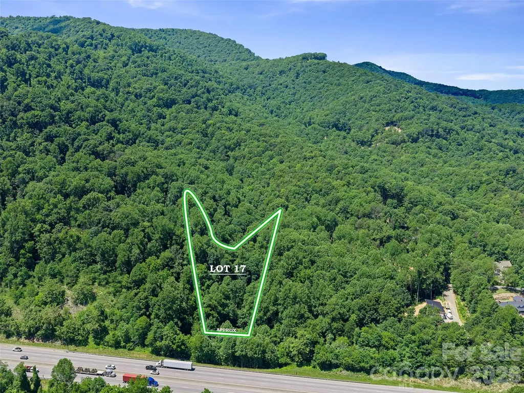 9999 Lovebird Lane Candler NC 28715