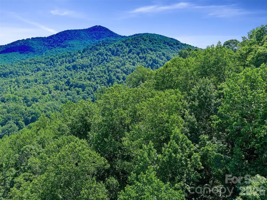 9999 Lovebird Lane Candler NC 28715