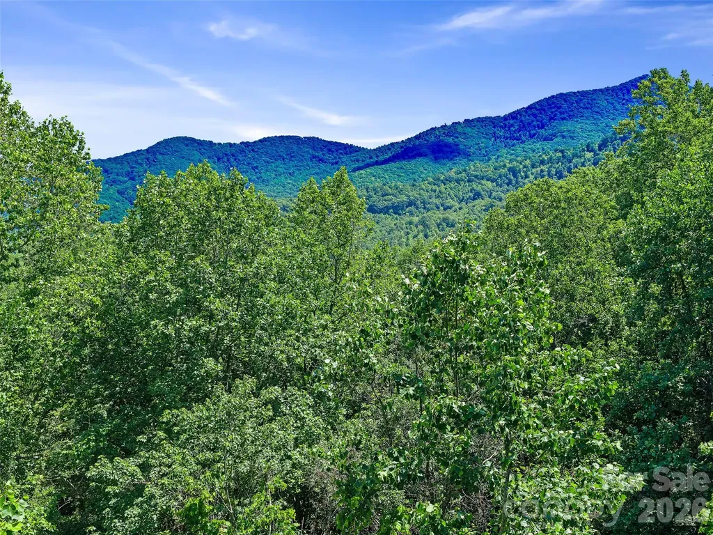 9999 Lovebird Lane Candler NC 28715