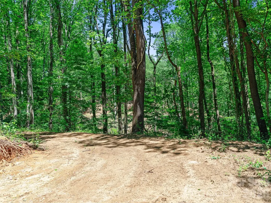 9999 Lovebird Lane Candler NC 28715
