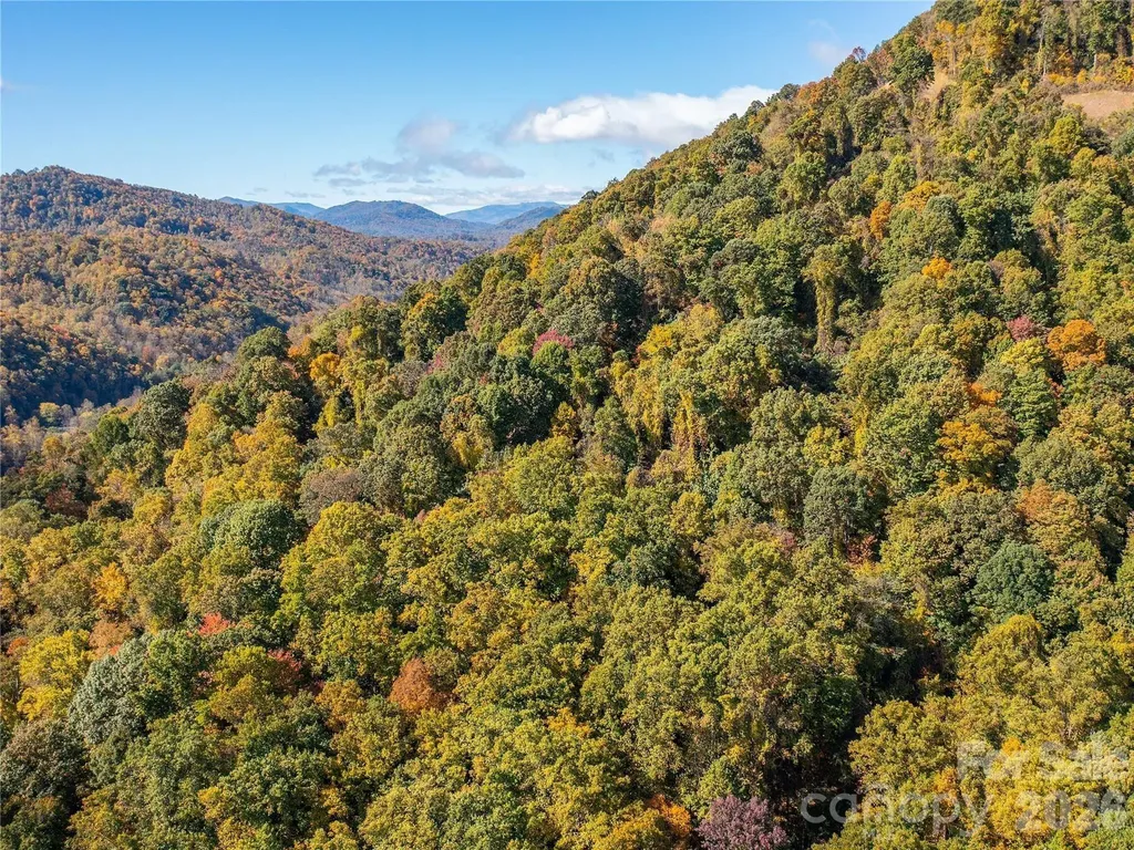 9999 Lovebird Lane Candler NC 28715