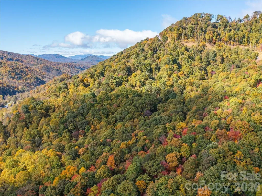 9999 Lovebird Lane Candler NC 28715