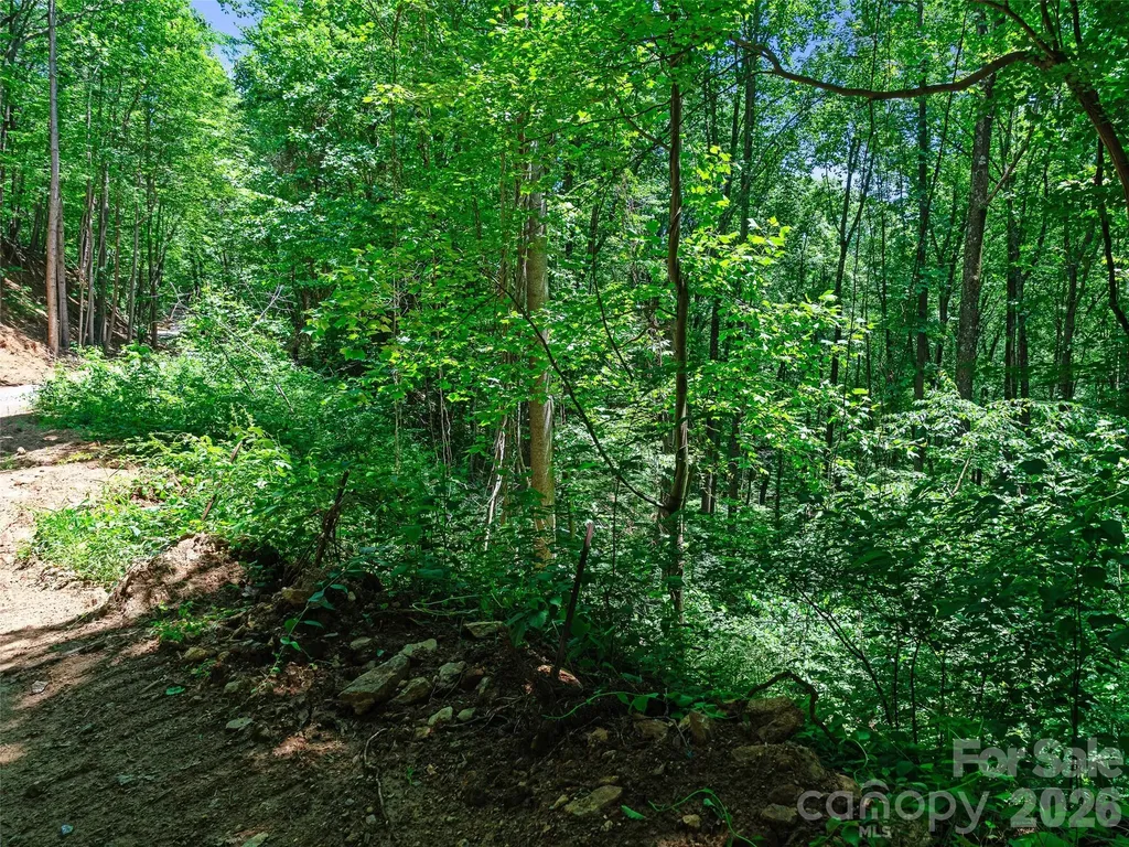 9999 Lovebird Lane Candler NC 28715