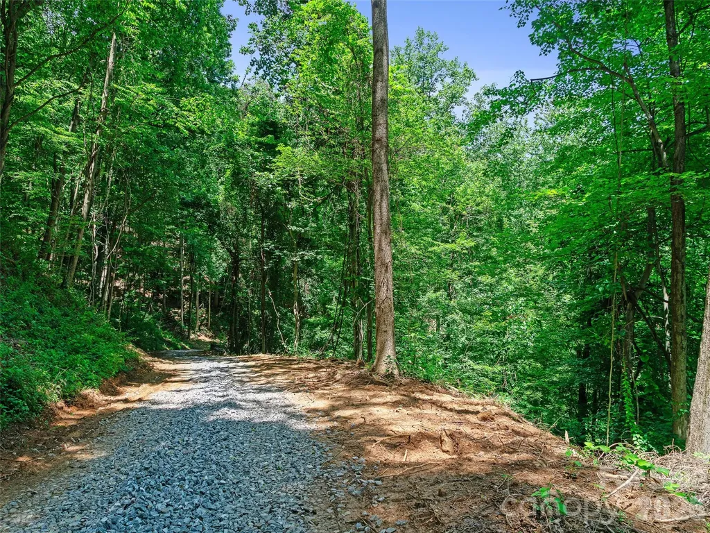 9999 Lovebird Lane Candler NC 28715