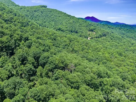 9999 Lovebird Lane Candler NC 28715